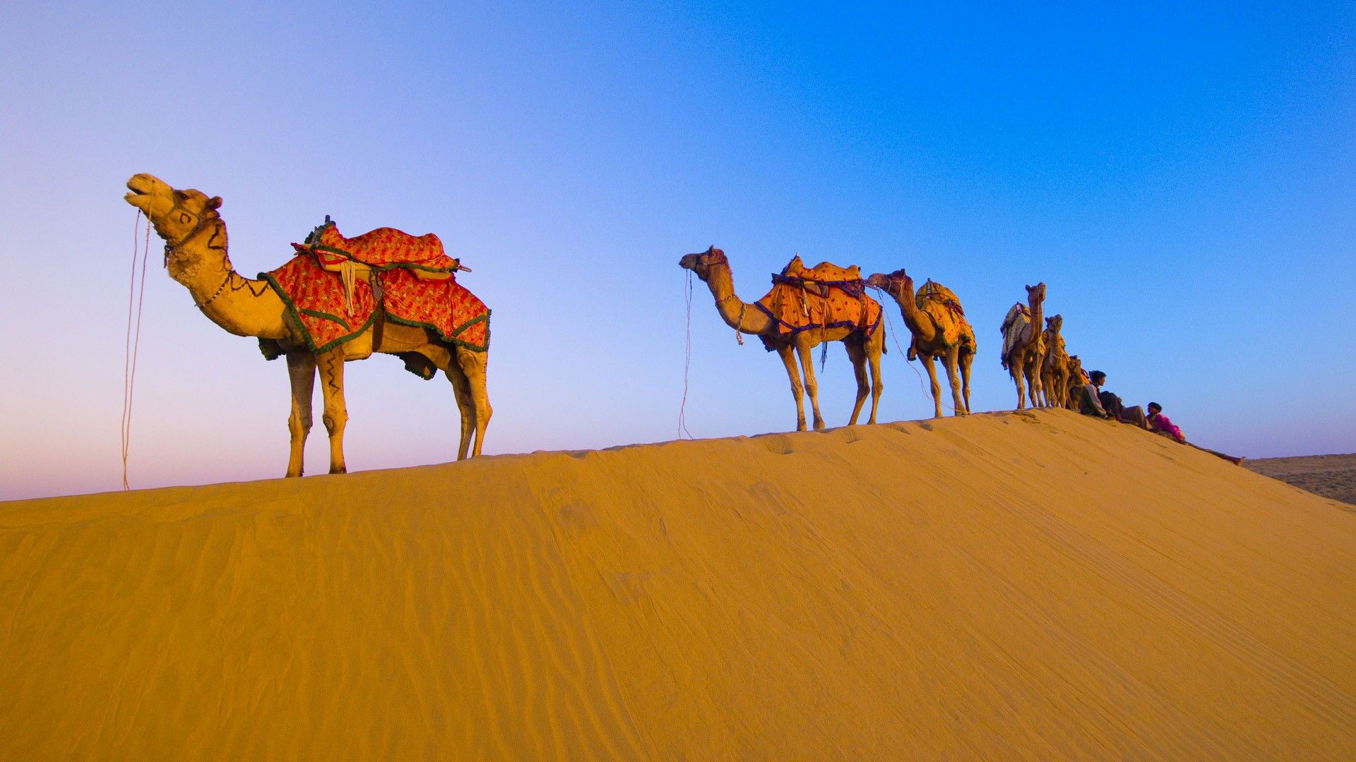 Rajasthan Wallpaper Top Background