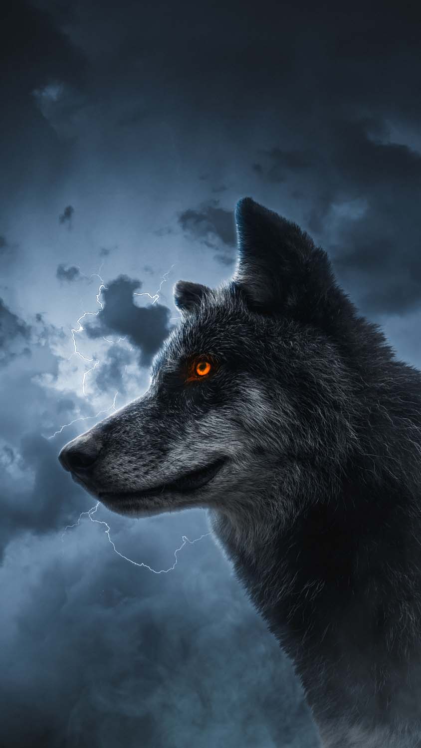 Wolf Wallpaper HD iPhone