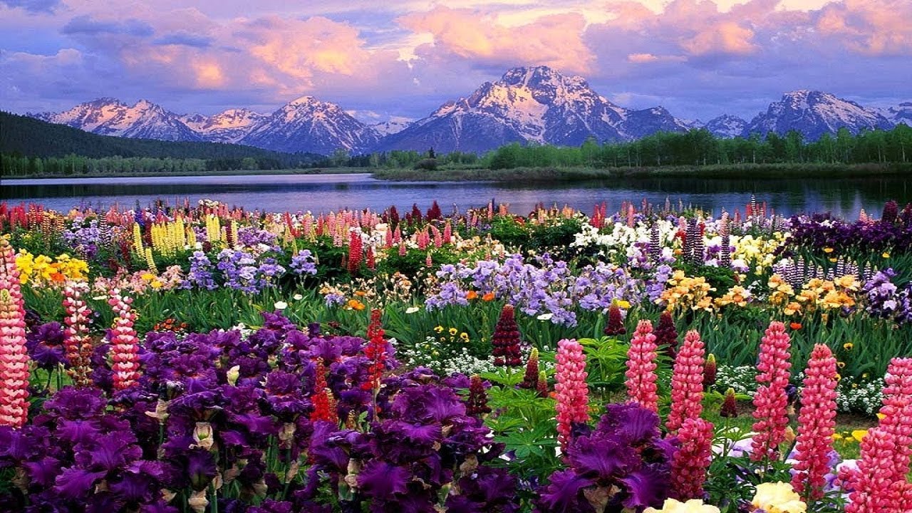Top Most Beautiful Natures Wallpaper beautiful images of