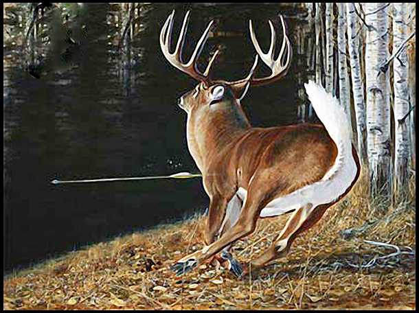 cool deer hunting pictures