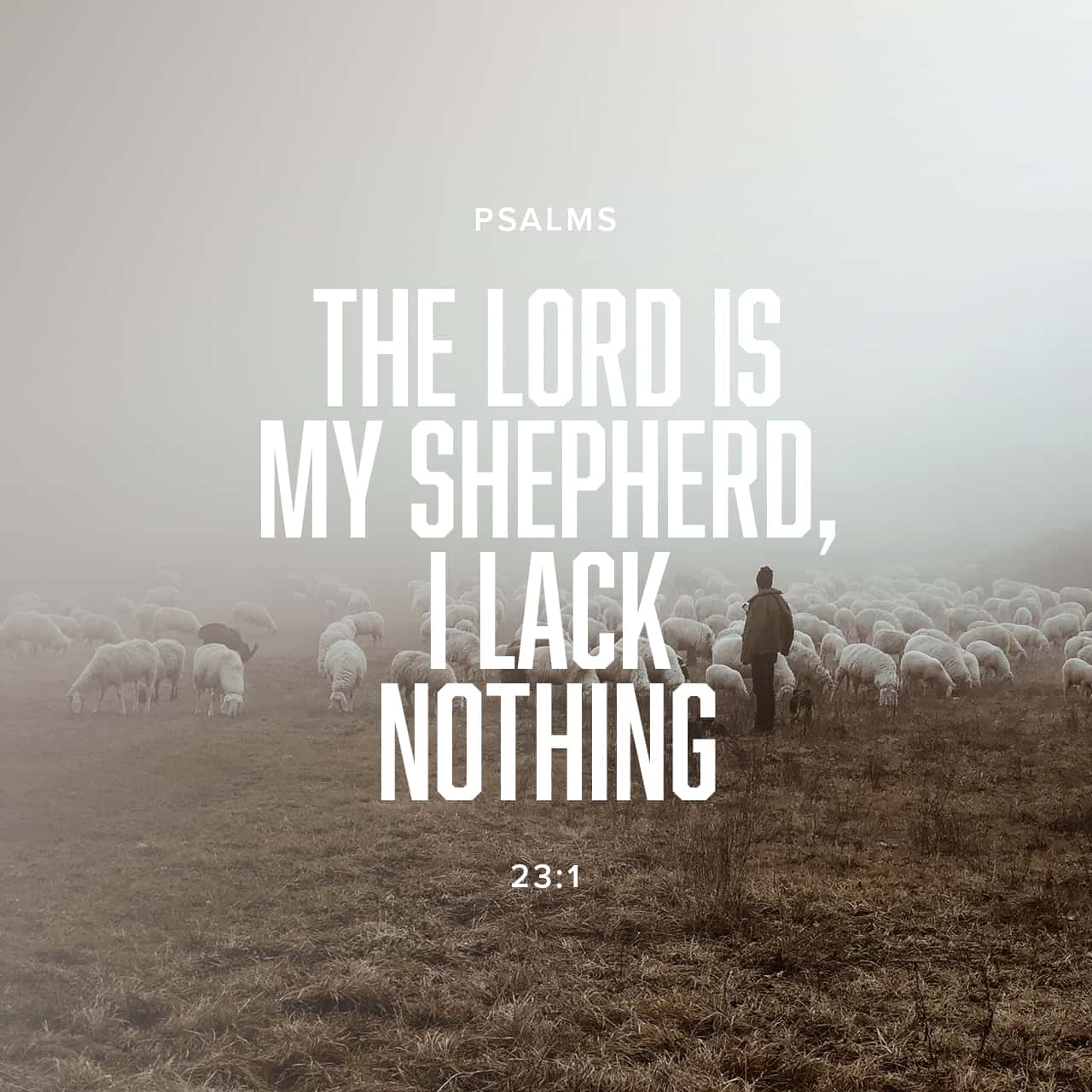 The Lord Is My Shepherd Deliverance Sermons And Prayers
