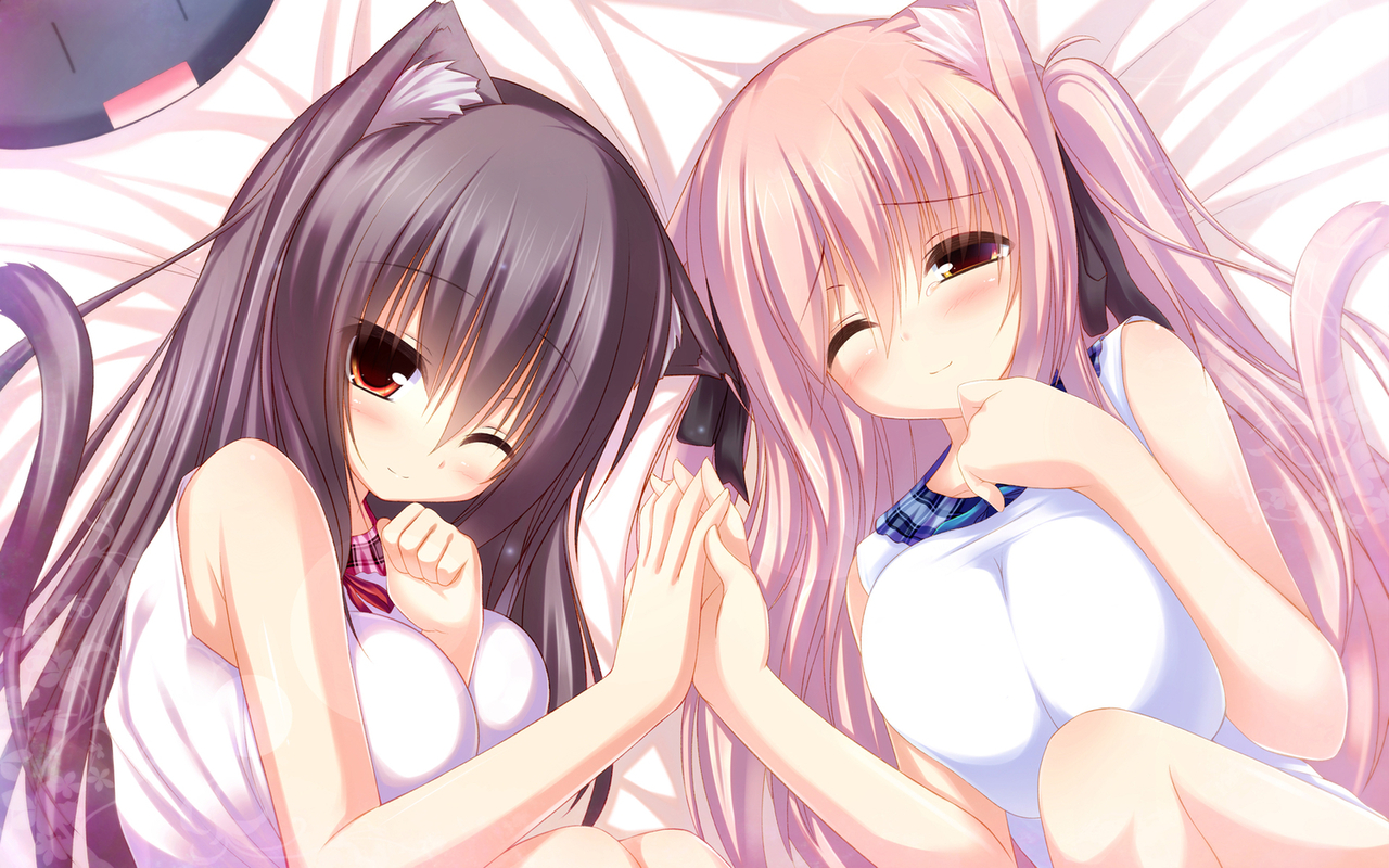 1280px x 800px - 42 ] Anime Neko Wallpapers On Wallpapersafari | Free Hot Nude Porn Pic  Gallery