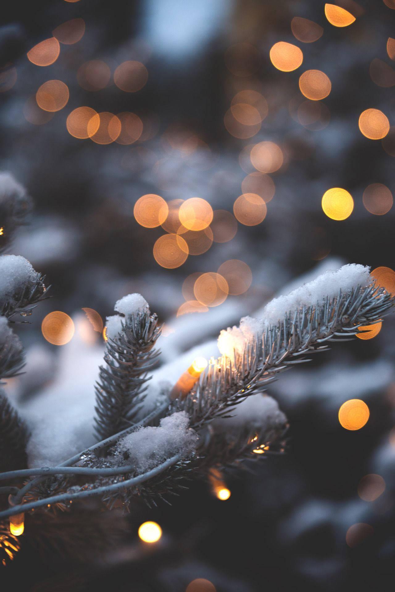 Download Christmas Lights Illuminate Ones Iphone Wallpaper