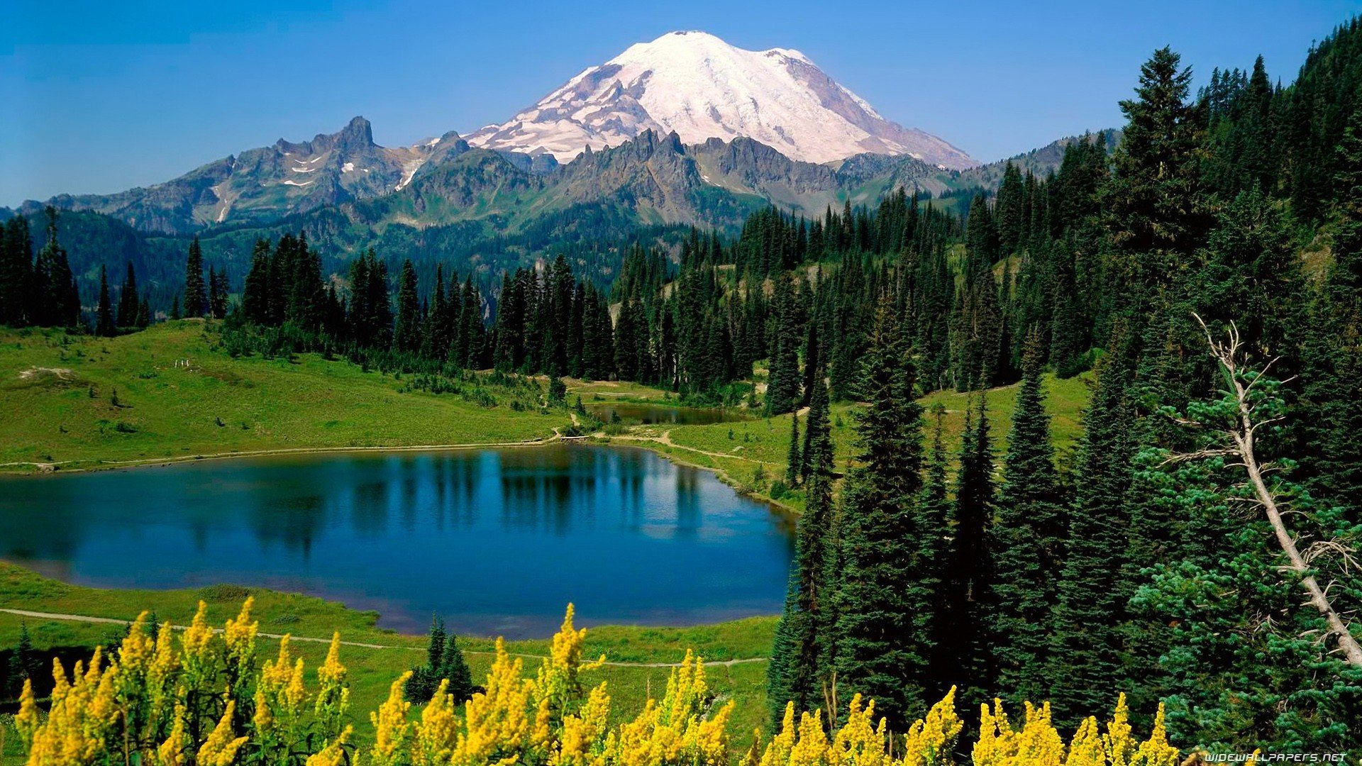  National Park Mount Rainier Washington State wallpaper background