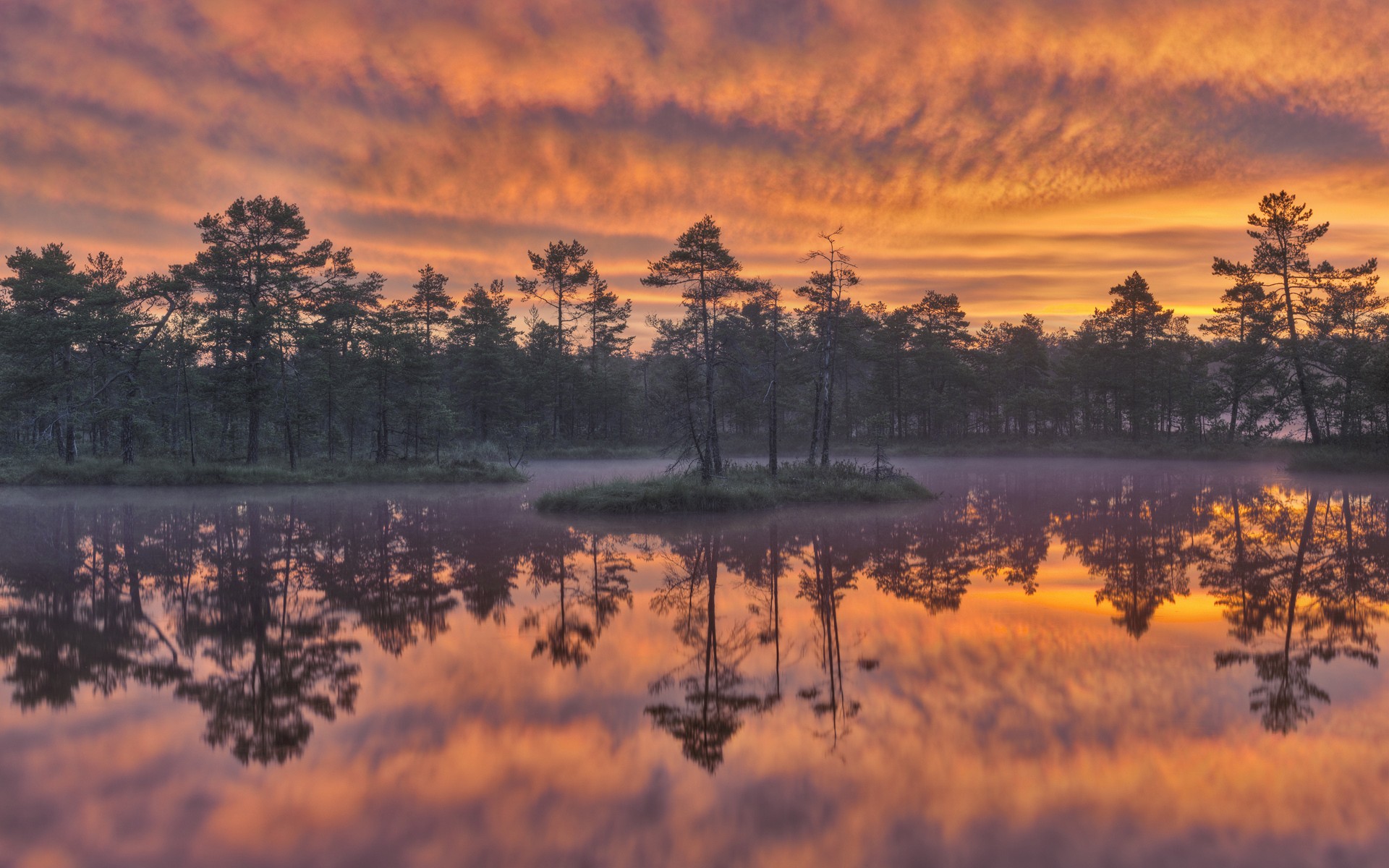 Amazing Cool HD Wallpaper Lake Sweden Trees Desktop