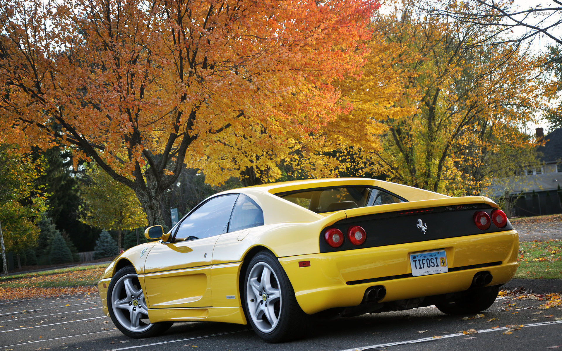 Ferrari F355 Wallpaper Car