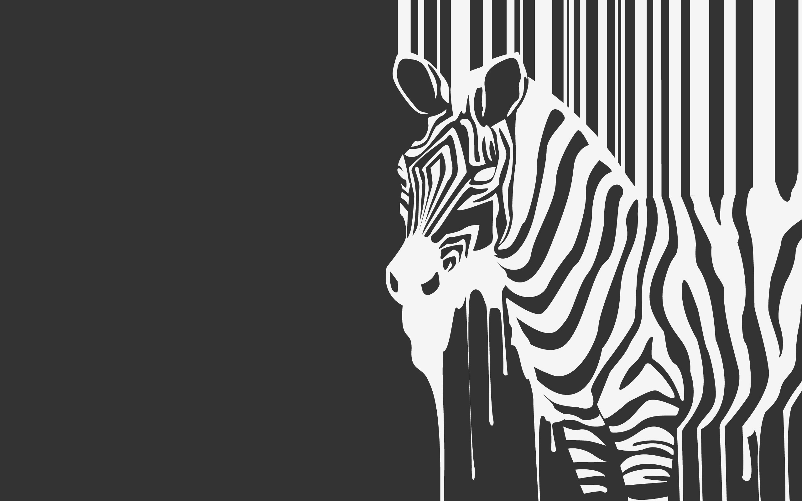 Black And White Zebra Wallpaper Image Pictures