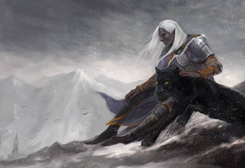 The Legend Of Drizzt