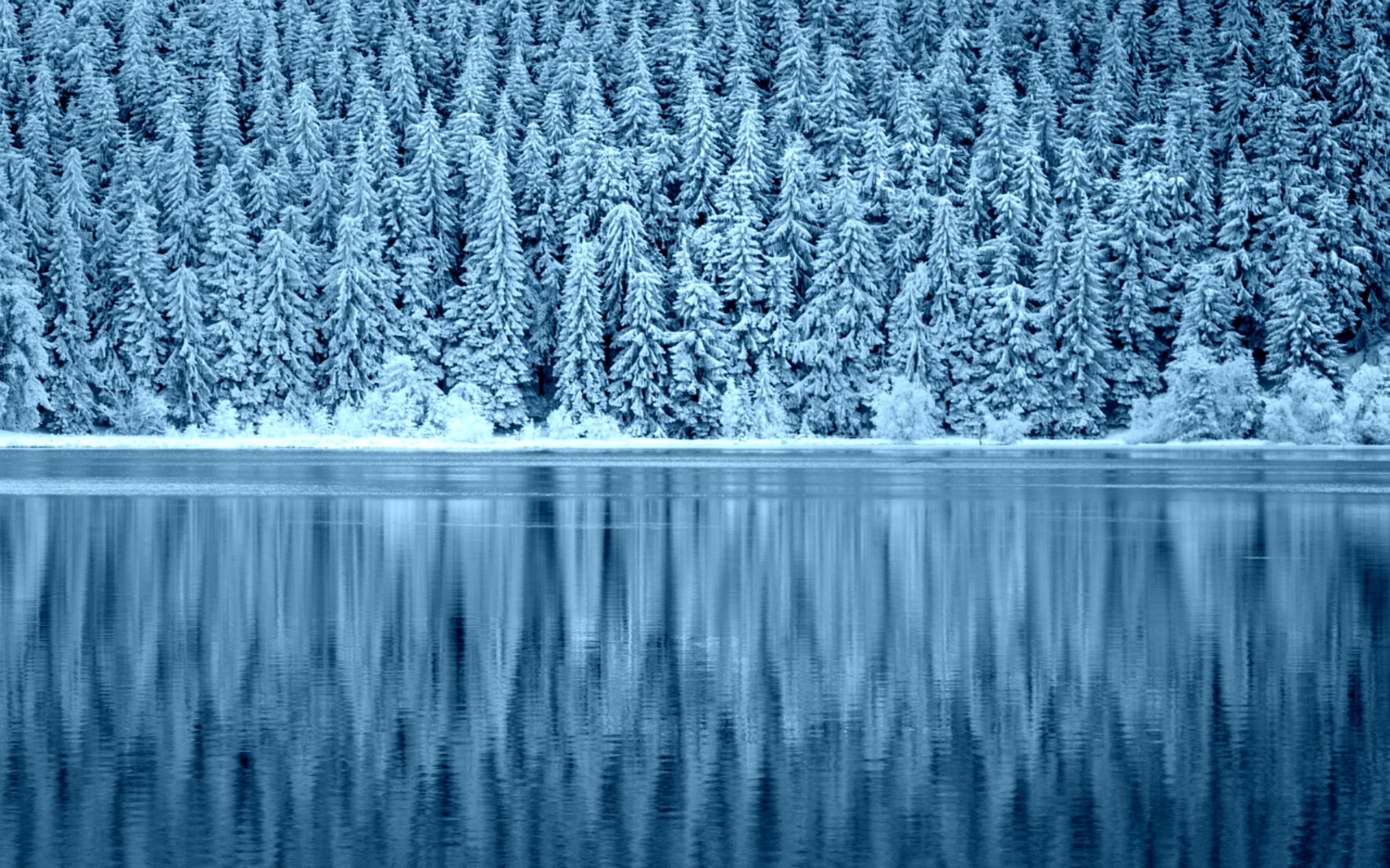 Snowy Forest Reflection HD