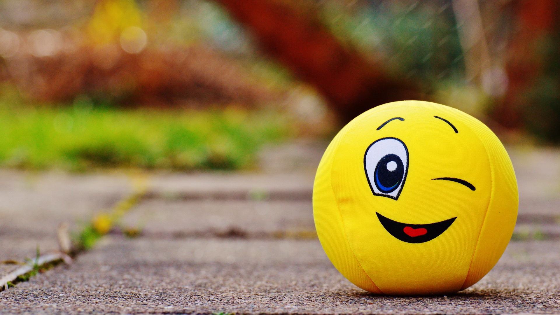 Download wallpaper 1920x1080 ball smile happy toy full hd hdtv
