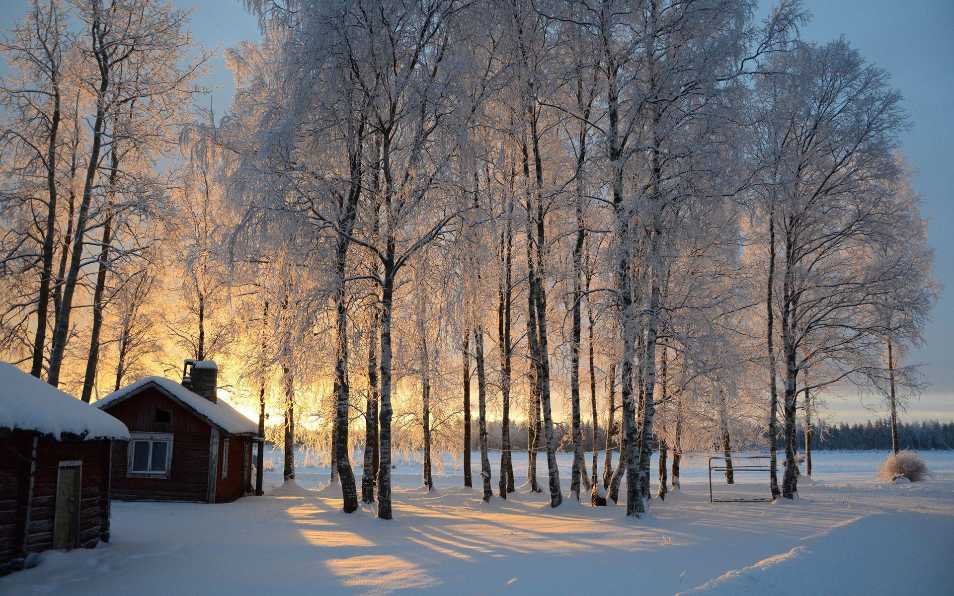 finland Wallpaper tags a cabin snow trees birch sunrise winter