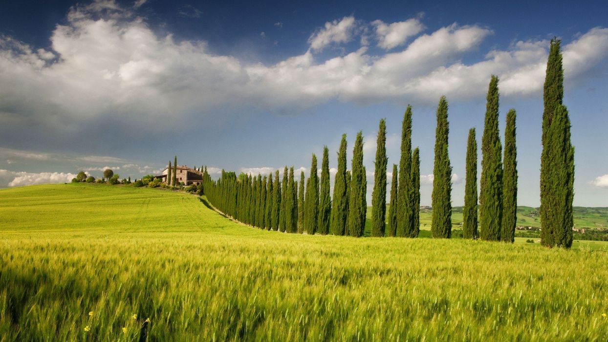 Green Landscapes Nature Fields Spring Italy Tree House Sky