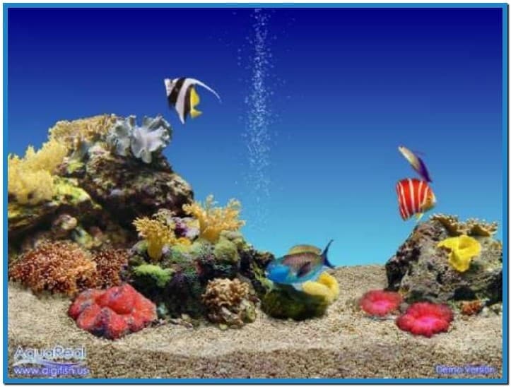 Free 3D Aquarium Screensaver Download