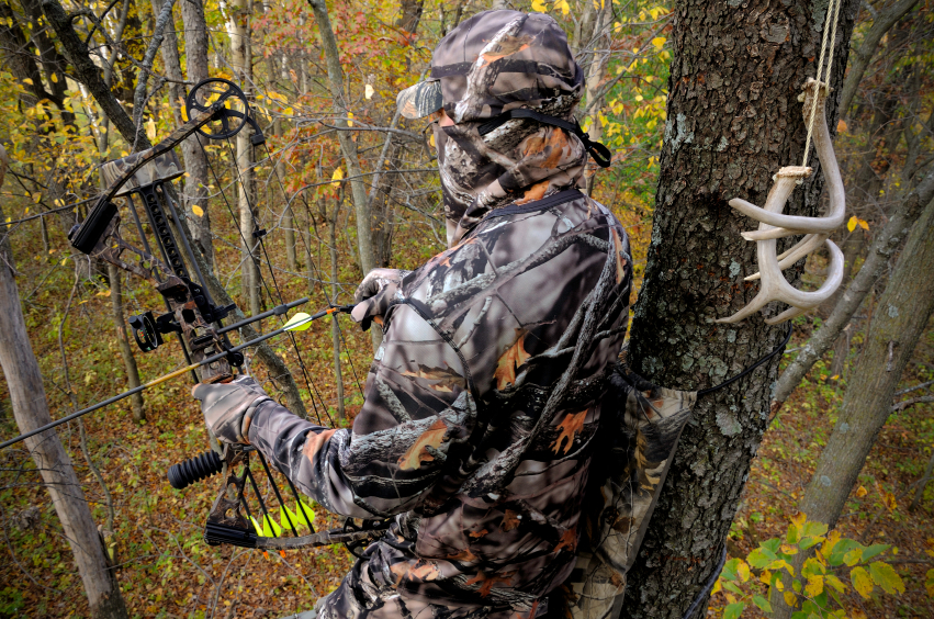 Archery Hunting Wallpaper National Hunt Club Listing