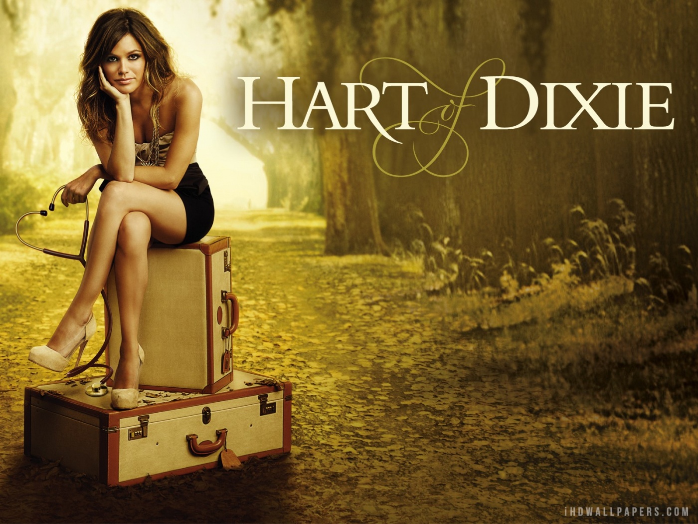 Rachel Bilson In Hart Of Dixie HD Wallpaper IHD