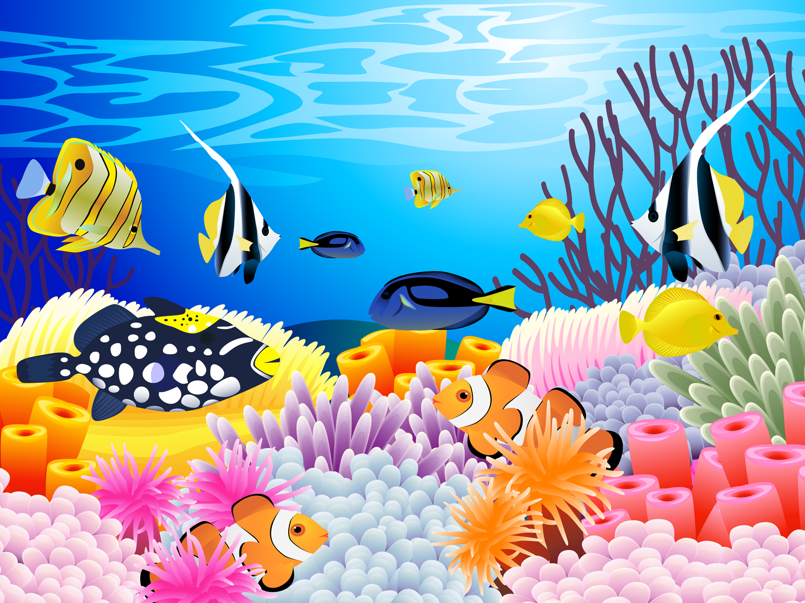 Underwater Ocean Sea Color Tropical Coral Reef Wallpaper Background