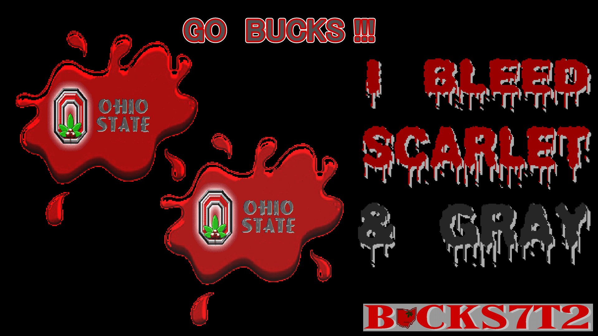 I Bleed Scarlet Gray Ohio State Buckeyes Wallpaper
