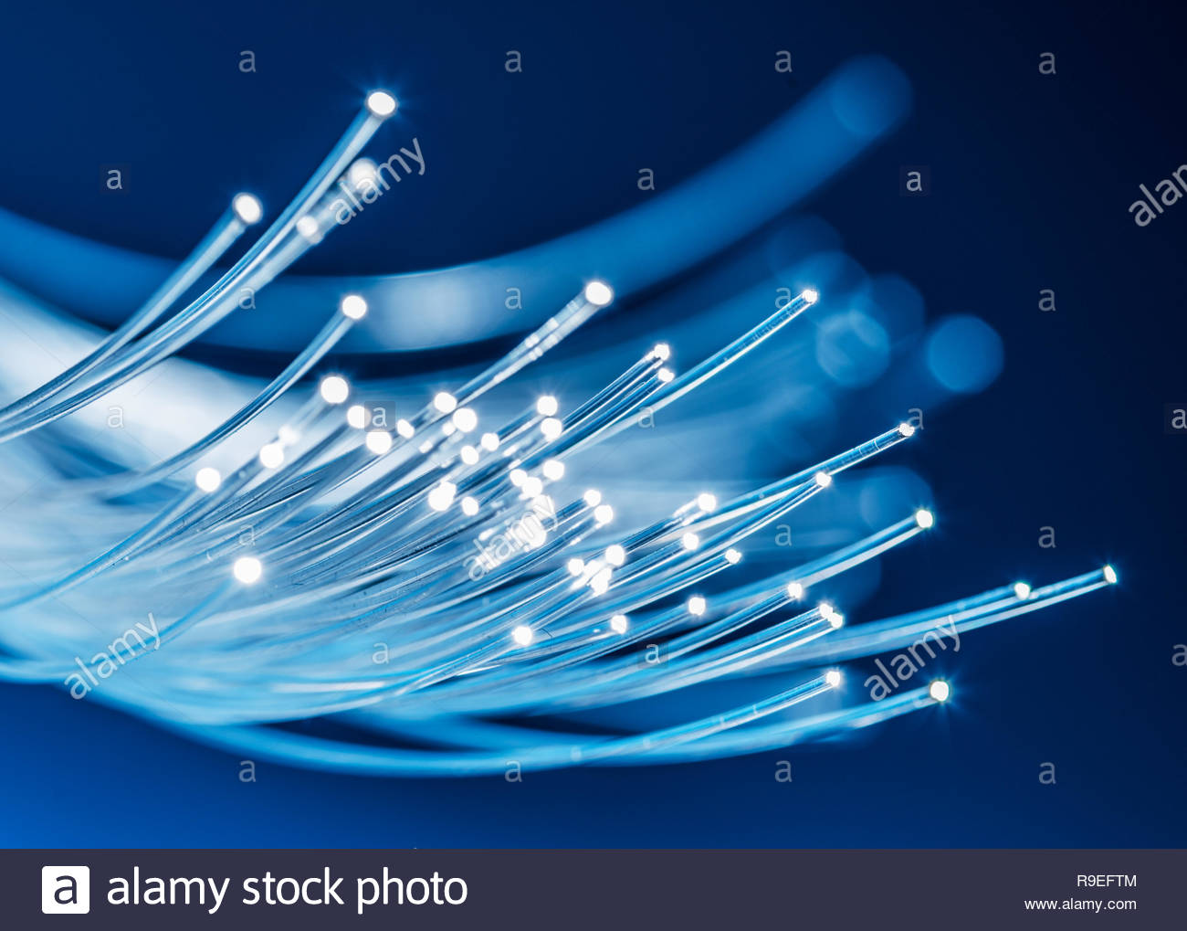 Bundle Of Optical Fibers With Lights In The Ends Blue Background