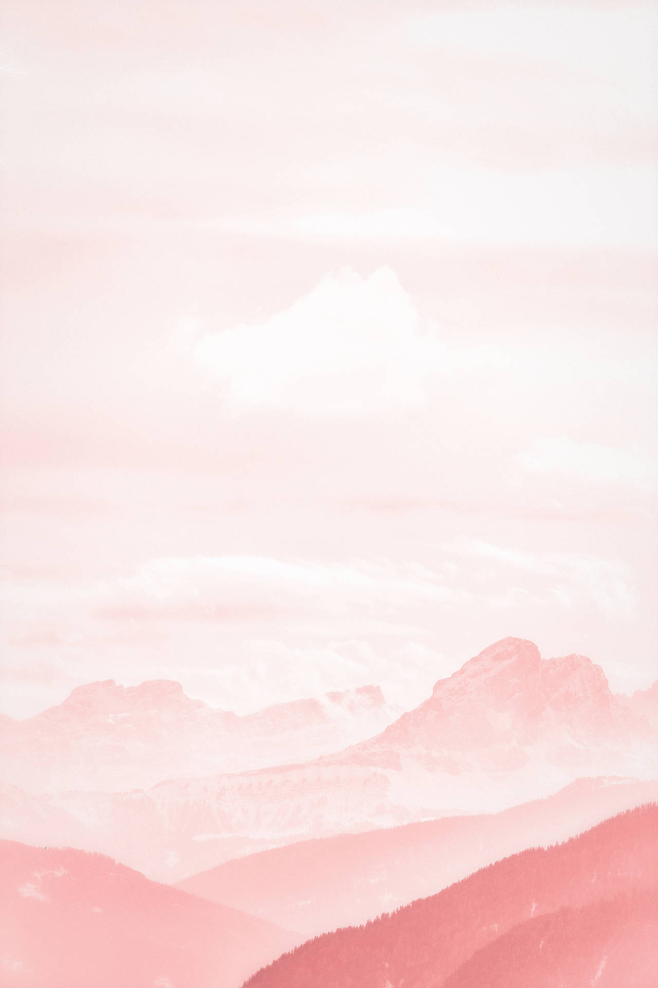 Calm Aesthetic Wallpaper