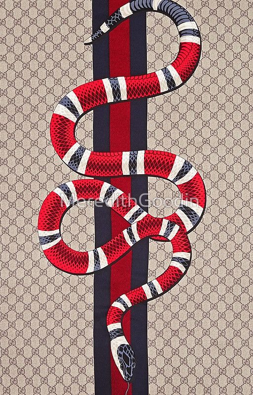 Red Gucci Word With Logo And Red Black Snake HD Gucci Wallpapers  HD  Wallpapers  ID 49028