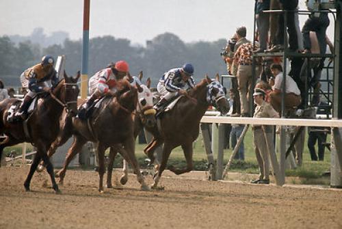Secretariat Ron Turcotte Was Euthanized After Being