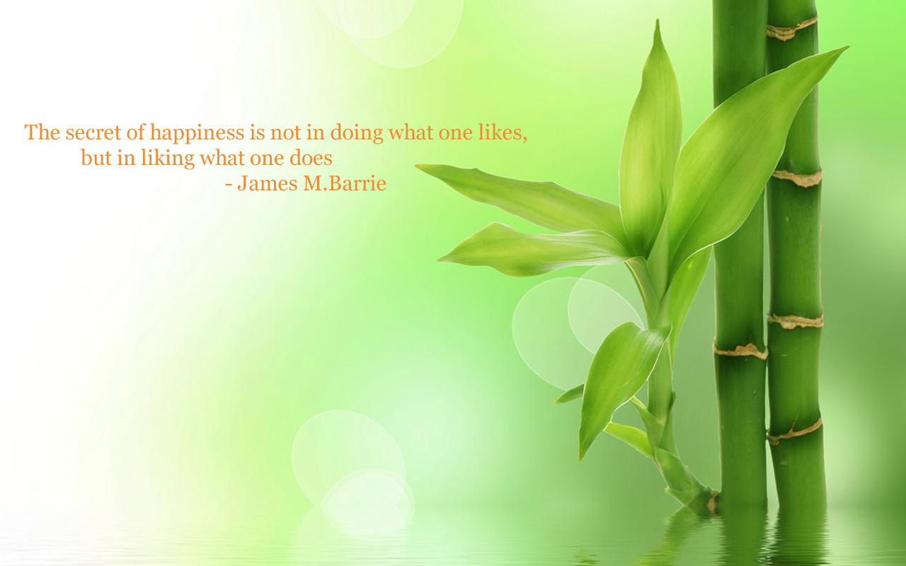 Happiness Quotes Wallpaper Cultivating Spot Jpg