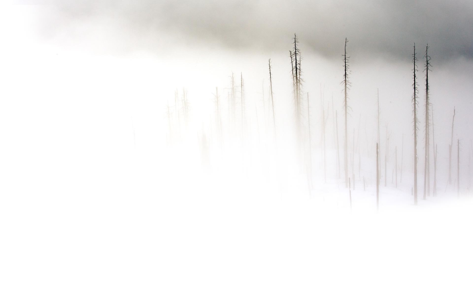 Plain White Wallpaper HD