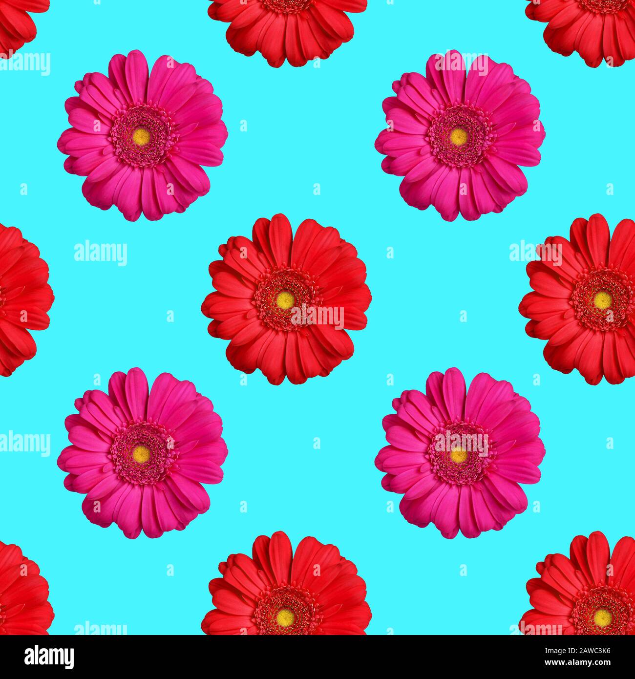 Seamless pattern of red and pink gerbera flowers on blue