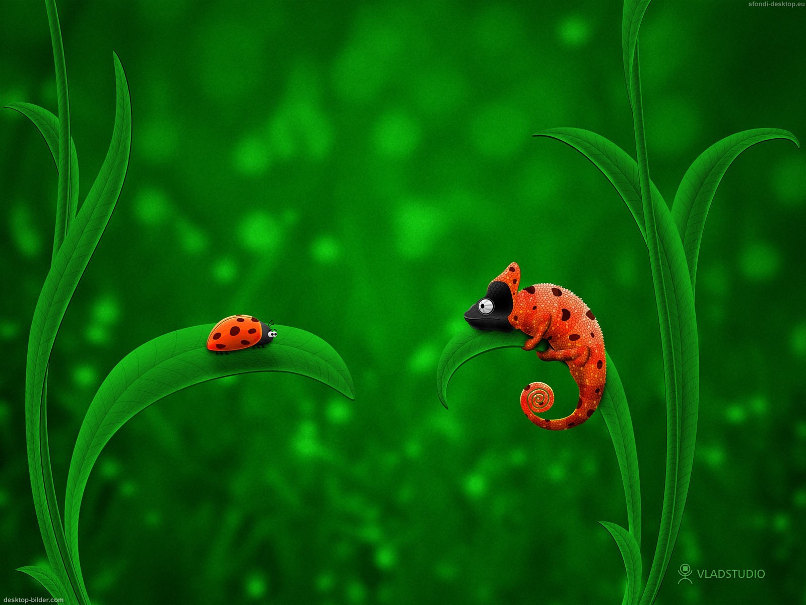 Schaue Dir Den Hintergrundbild Ladybug Chameleon In Der Gr E Von