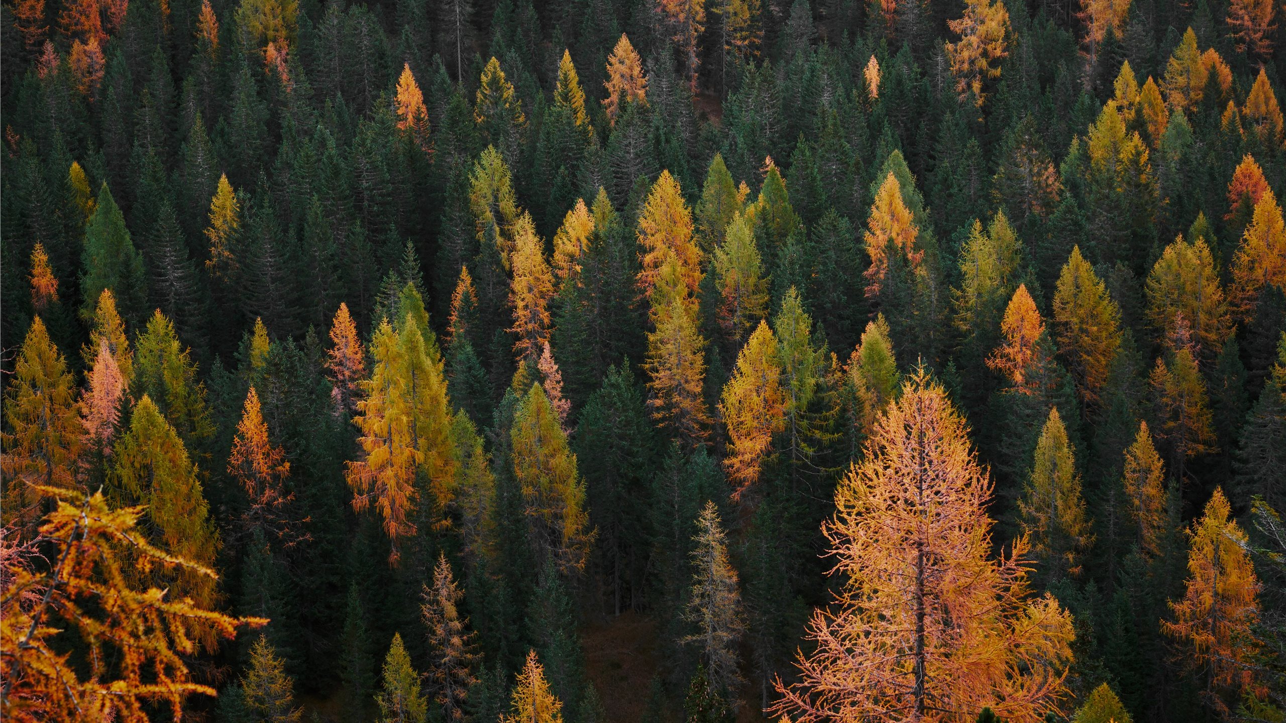 Sorapiss Auronzo Di Cado Mac Wallpaper Allmacwallpaper
