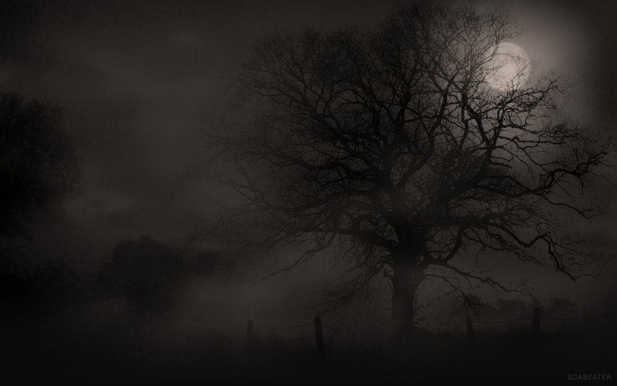Misty Tree Dark By Scabeater