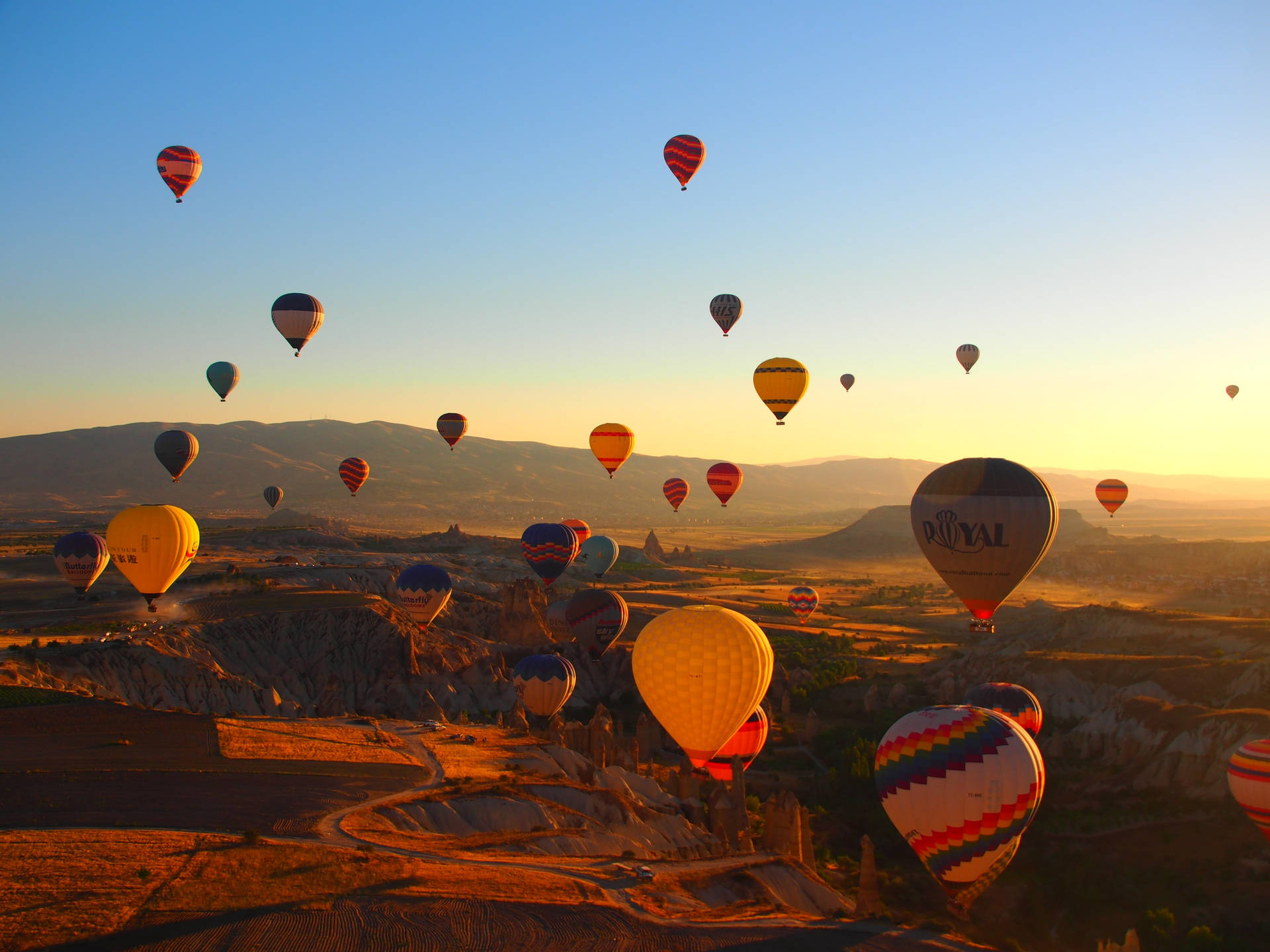 Hot Air Balloon Wallpaper