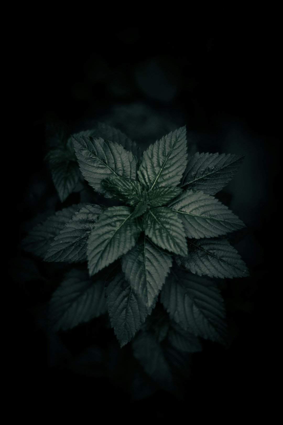 Photo 32456af7c128 Wallpaper