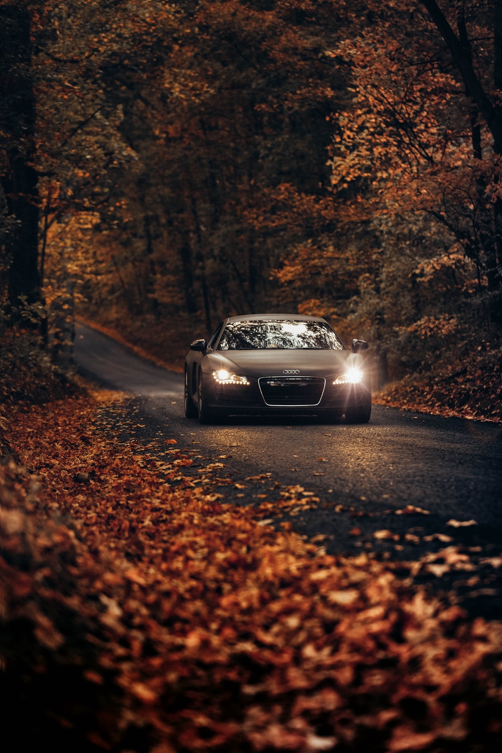 Luxury Pictures Image