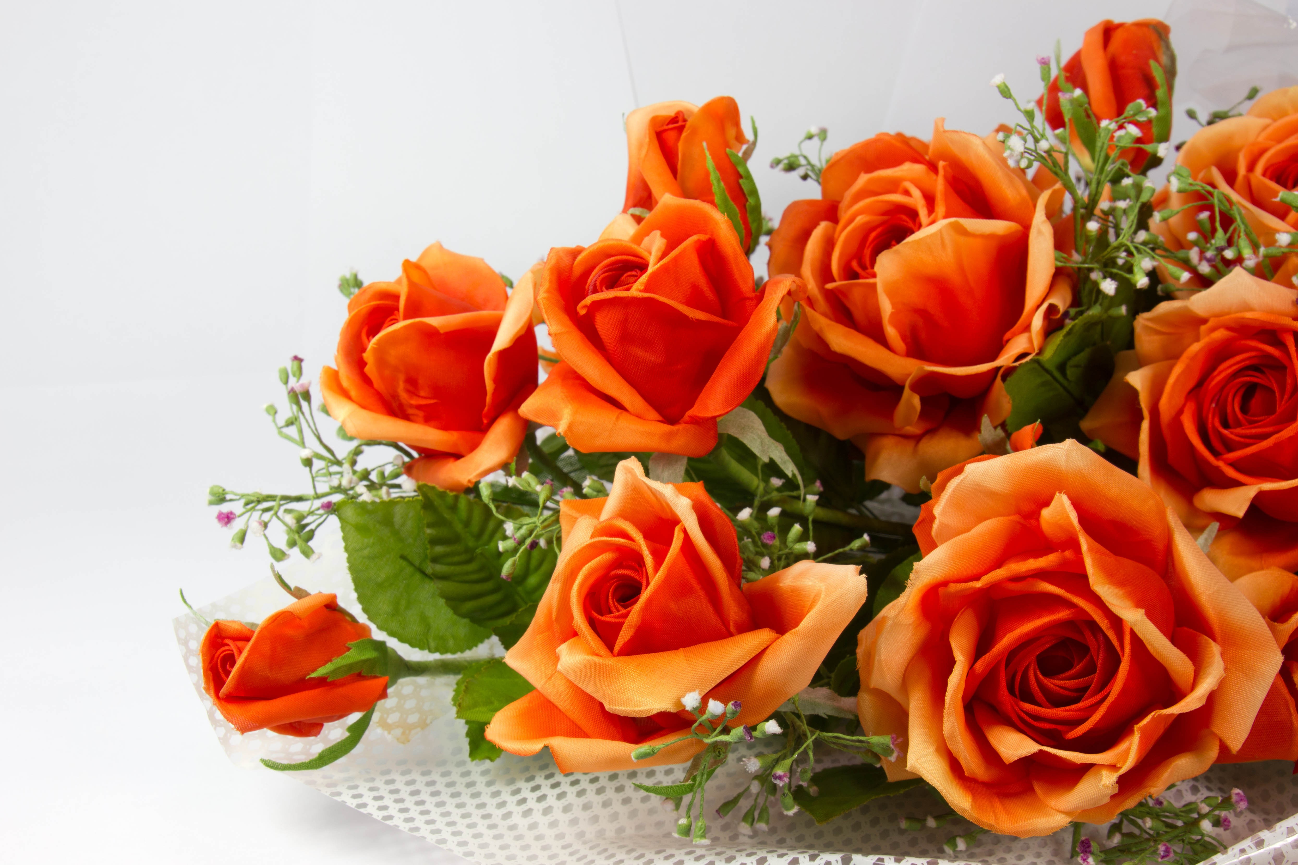 Orange roses wallpaper 16915 PC en