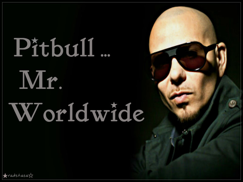 Pitbull   Pitbull rapper Wallpaper 32899661
