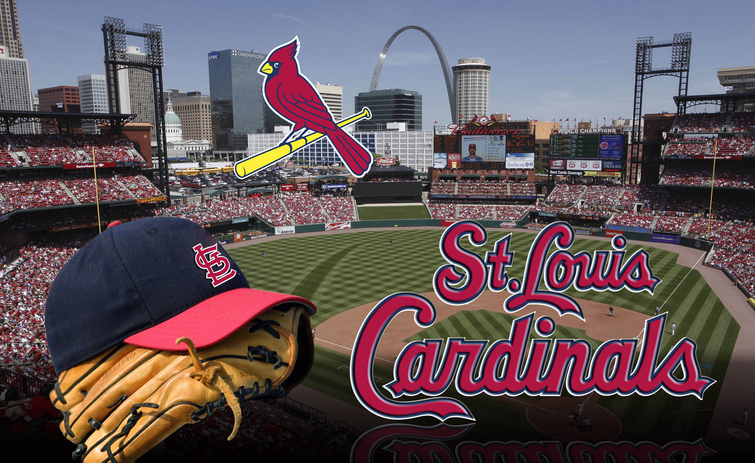 St Louis Cardinals Baseball Mlb Fa Wallpaper