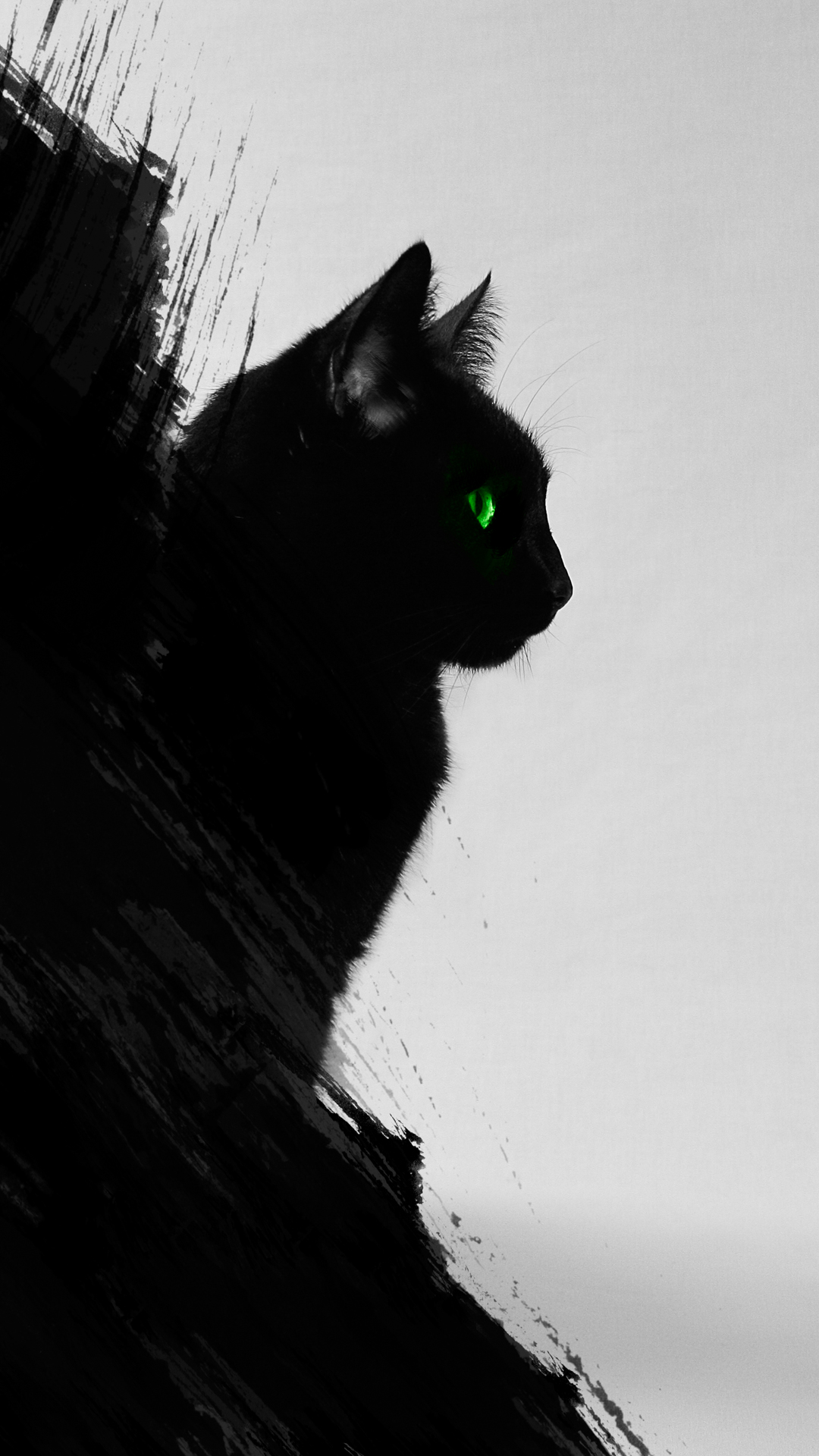 Black Cat Wallpaper   Black Cat Wallpaper Iphone   1080x1920