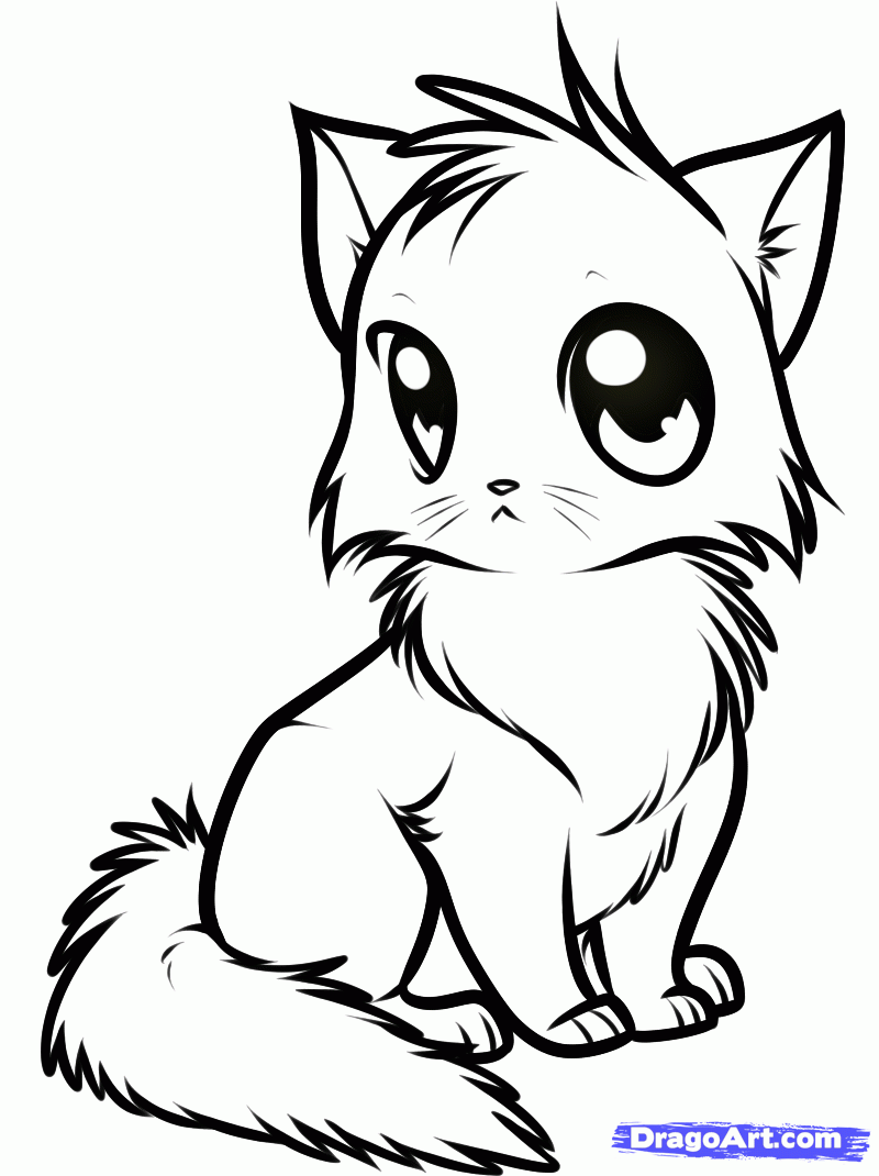 Free download Draw Cute Cartoon Cats Its Easy Pic 17 [800x1070] for your  Desktop, Mobile & Tablet | Explore 46+ Cute Cartoon Cat Wallpaper | Cartoon  Cat Wallpaper, Cute Cartoon Wallpaper, Cute Cat Background
