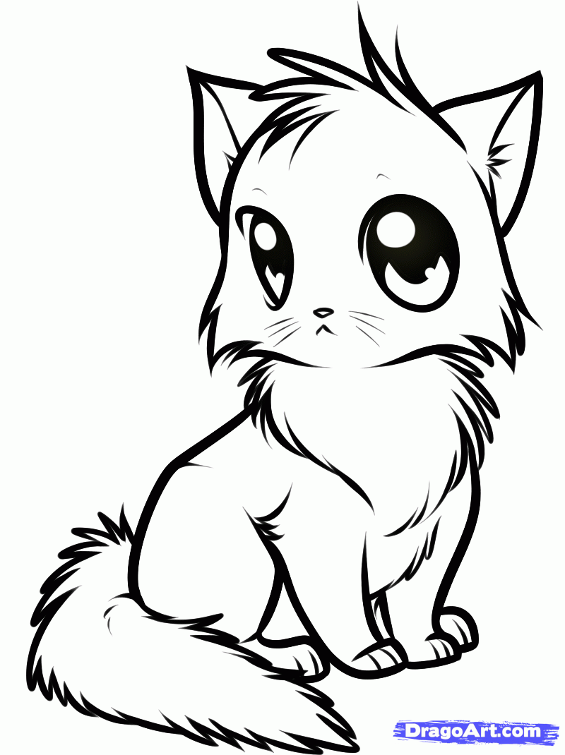 Draw Cute Cartoon Cats Its Easy Pic