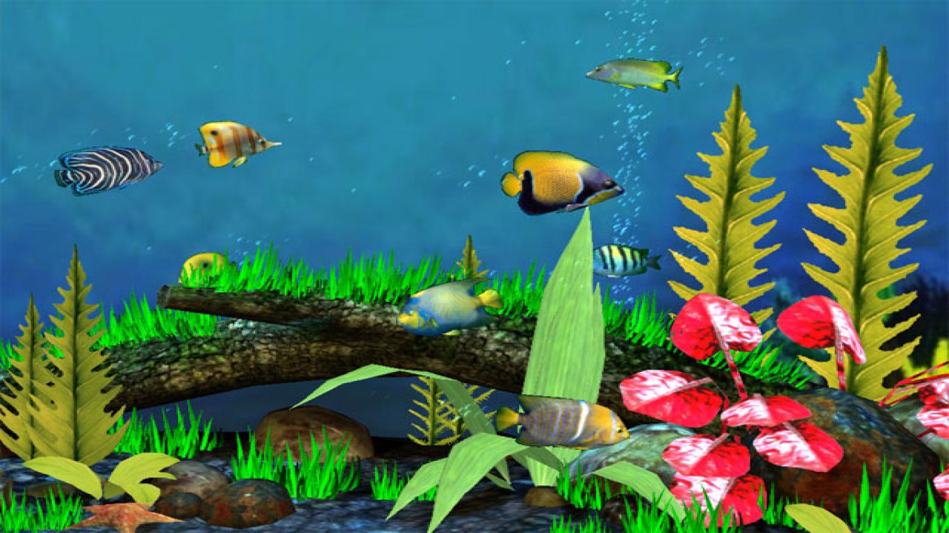 Image Image Of HD Wallpaper Otife Animals Fish 3d Desktop Pc