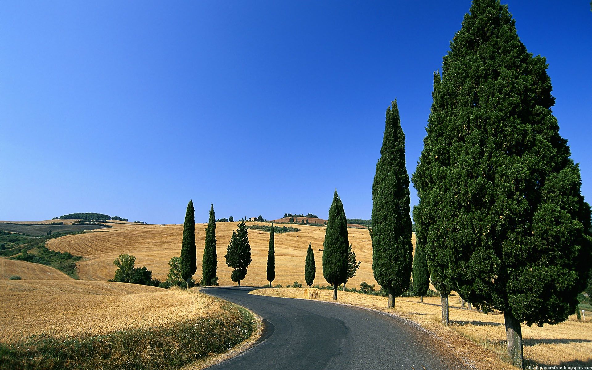 Country Road Wallpaper
