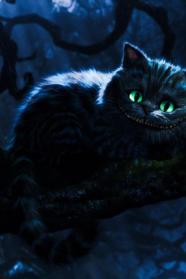 Cheshire Cat Wallpaper High Definition