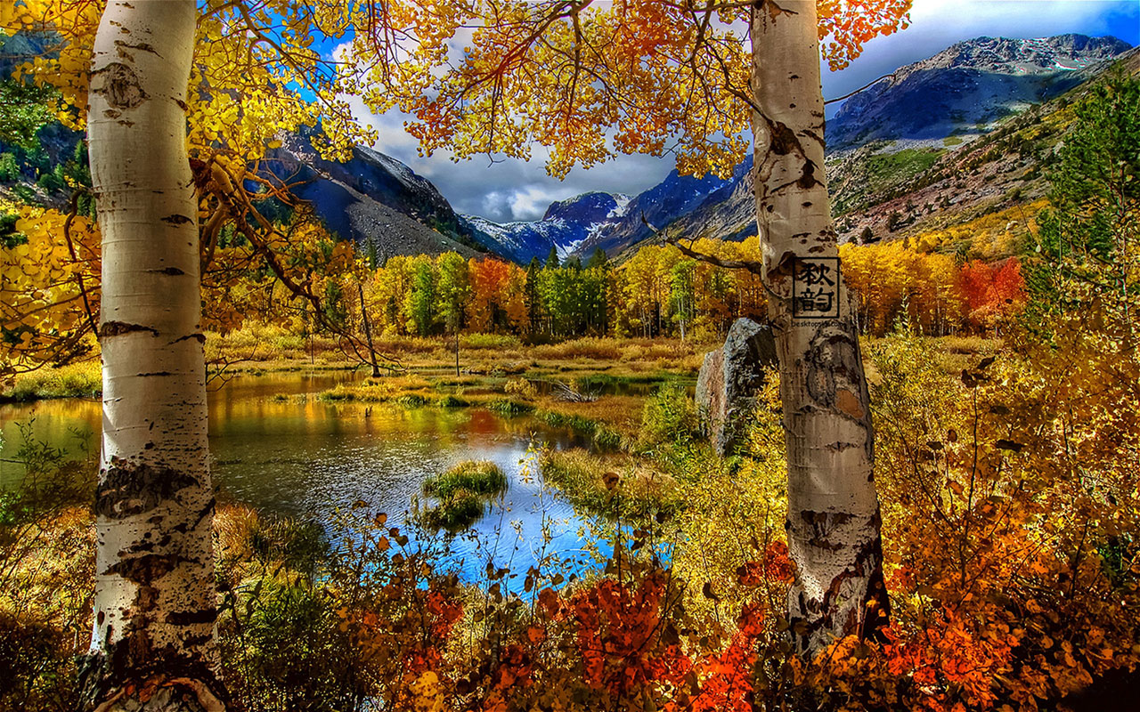 Seasonal Lake S Photography Wallpaper Landscape