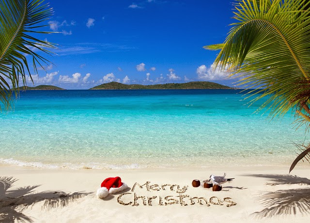 Tropical Christmas HD Wallpaper