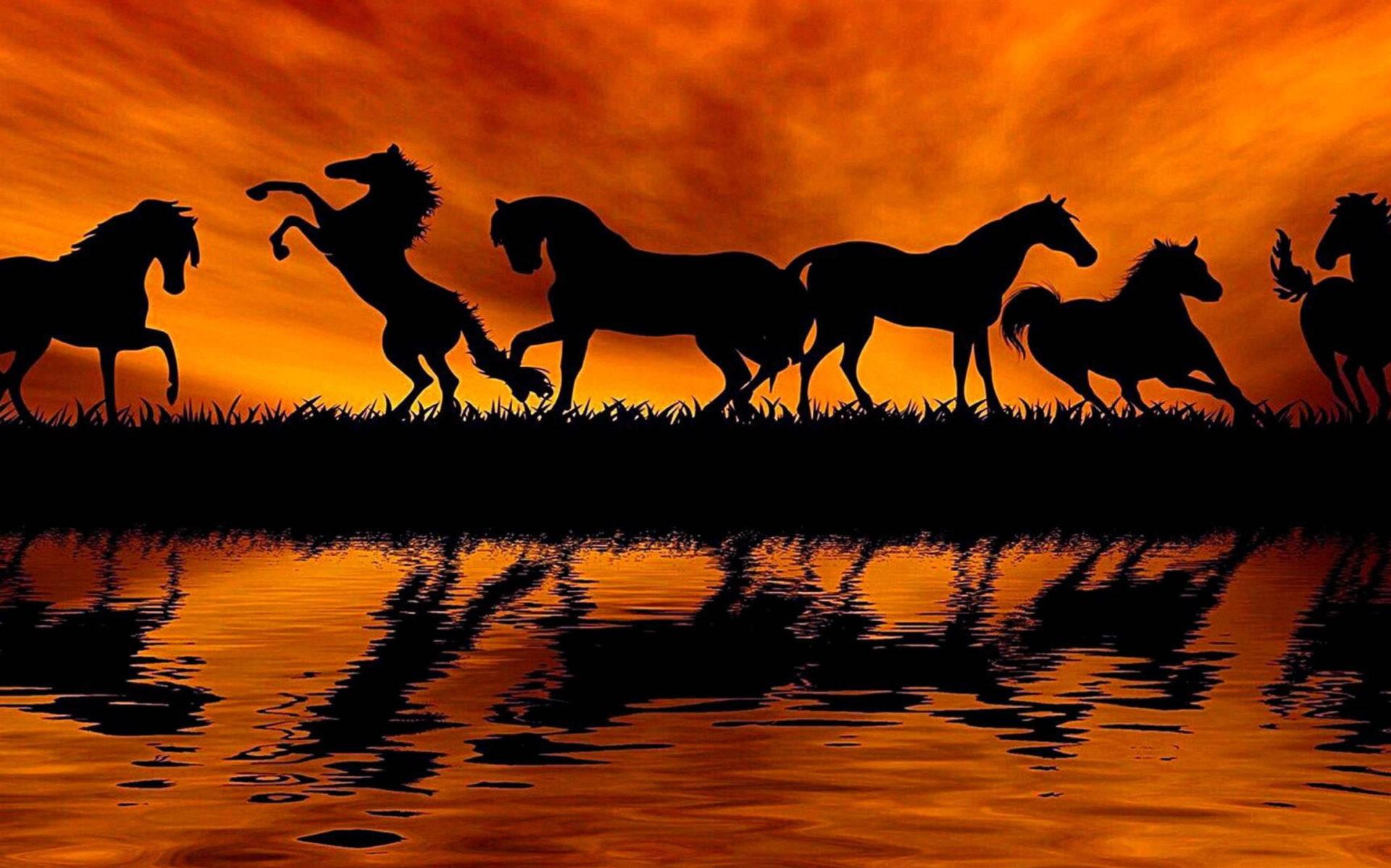 Sunset Horse Silhouette Acrylic Painting HD Wallpaper