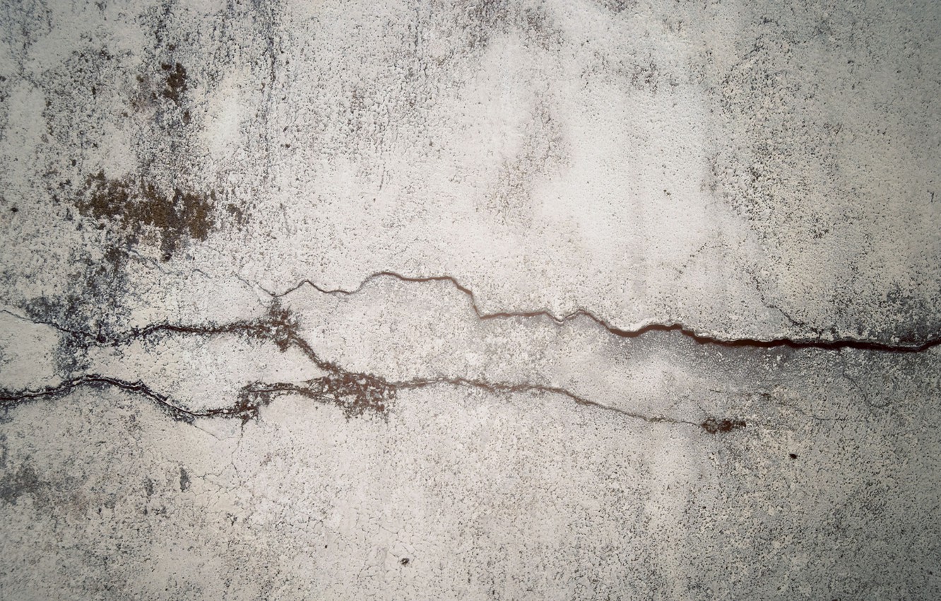 Wallpaper Wall Moss Concrete Crack In Time Fancq Image