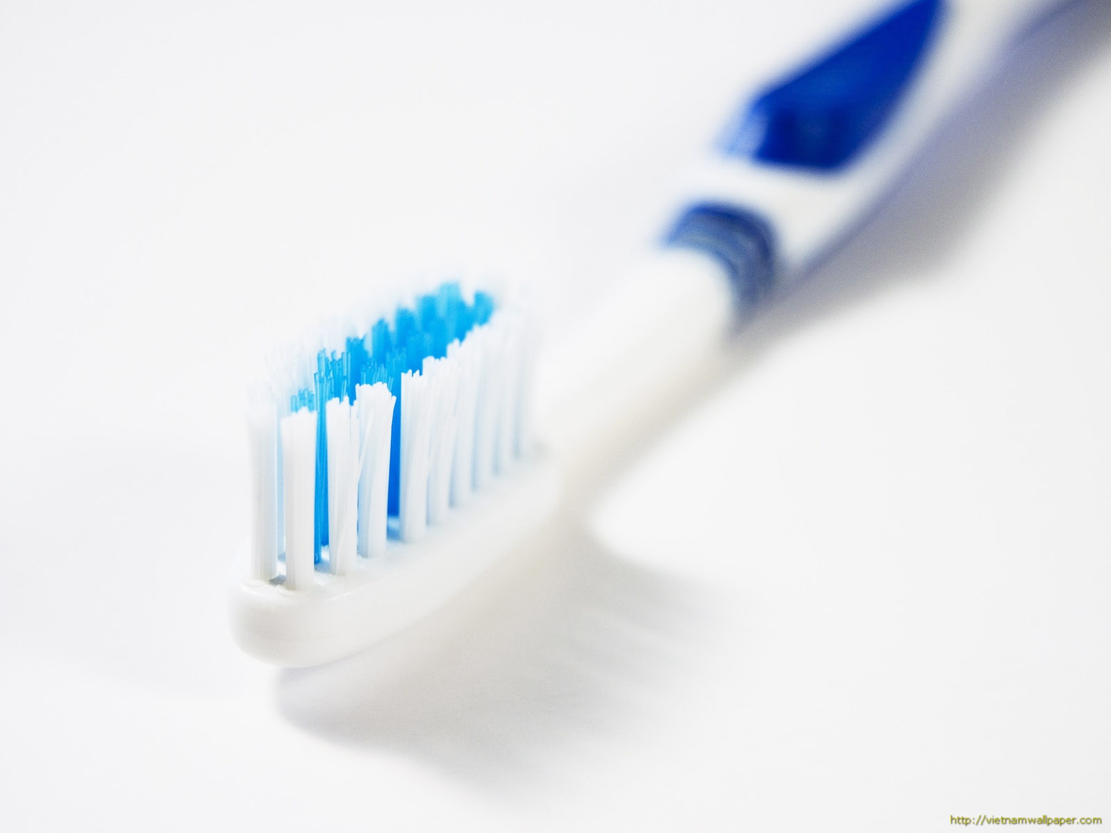 Tooth Brush Wallpaper A Photos Pictures