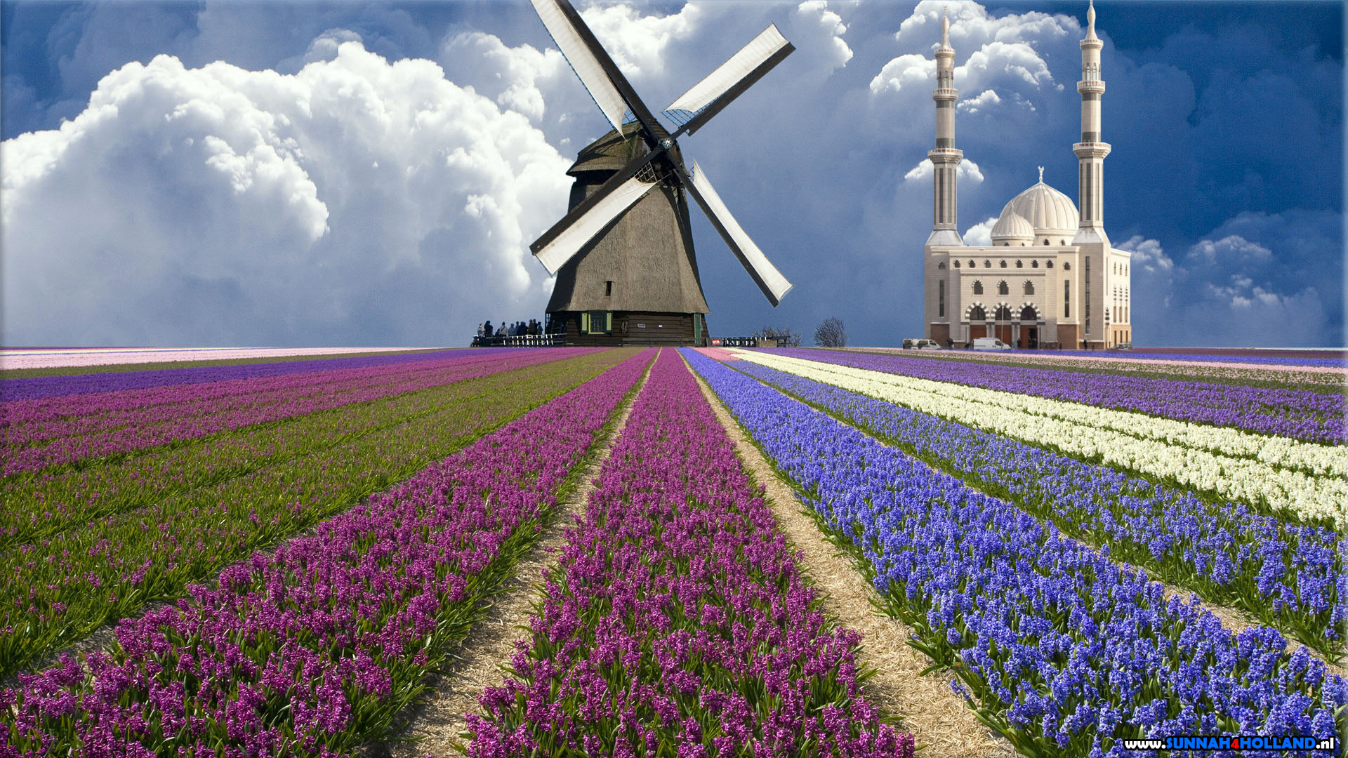 Dutch Mosque Essalam Rotterdam With Tulips And A Windmill Molen
