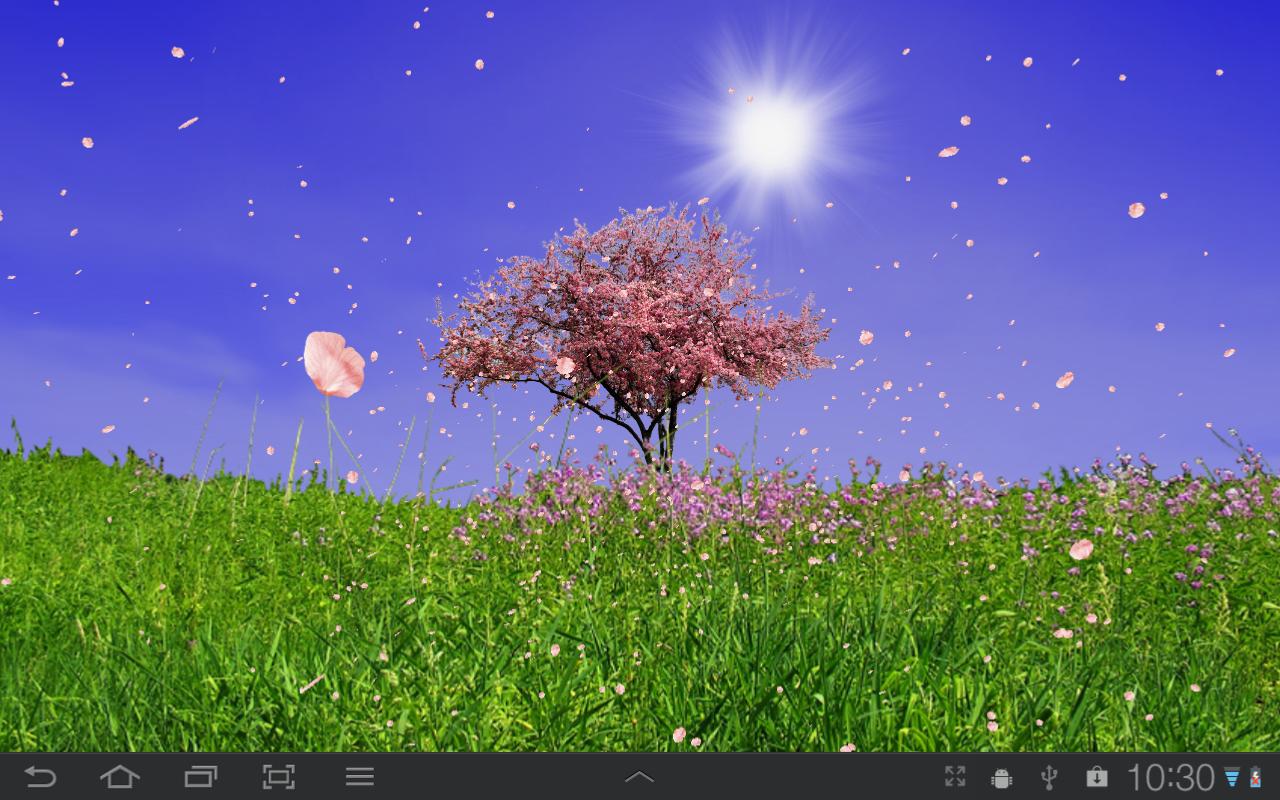 Spring Trees Live Wallpaper Android Apps On Google Play